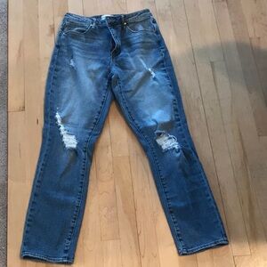 Articles of Society High Waisted Jeans